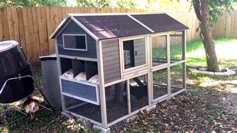 The Ultimate Guide to Chicken Coop Kits in Wollongong: Everything You ...