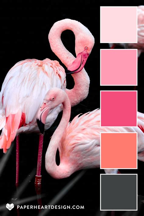 Pink Flamingo Color Palette | Color palette pink, Color palette design, Flamingo color