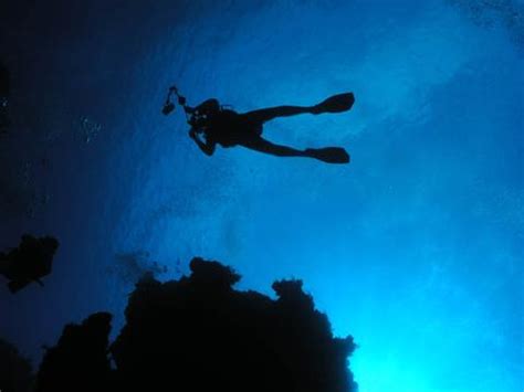 Barrier Reef Scuba Diving - San Pedro, Belize | Anywhere