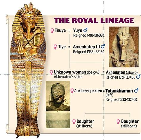 King Tut Discovery Timeline