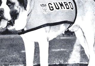 Gumbo (mascot) - New Orleans Saints Dog