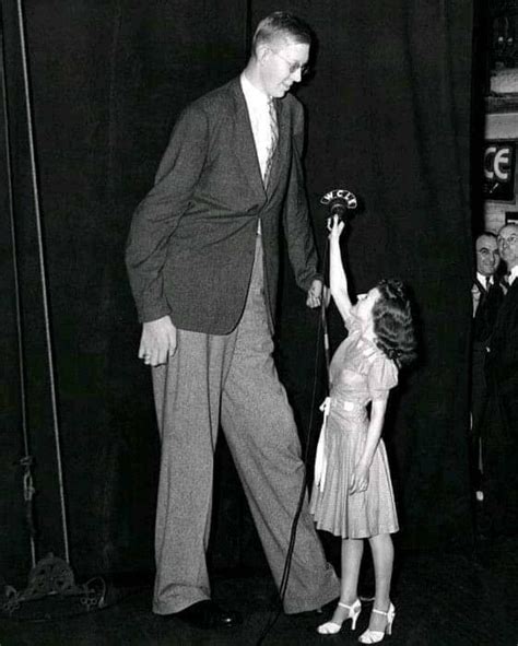 robert wadlow statue world s tallest man 2810 college avenue alton ...