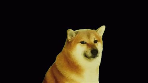 Cheems Doge GIF - Cheems Doge Dog - Discover & Share GIFs