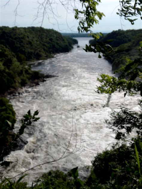 How River Nile has shaped tourism in Murchison Falls National Park ...