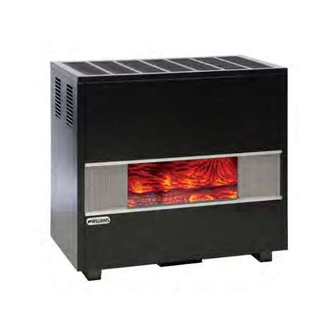 Williams GLASS FRONT VENTED ROOM CONSOLE 50K BTU Propane Gas Home Heater