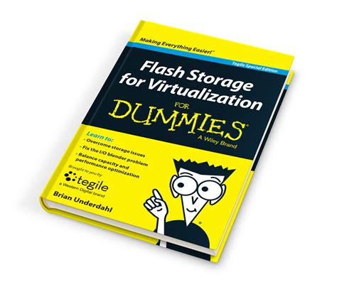 Dummies eBook - Minneapolis Cloud Services and Managed Service Provider Verus Corporation