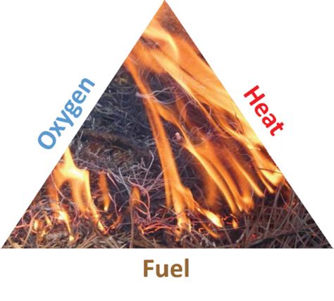 Prescribed Fire: The Fuels Component - Alabama Cooperative Extension System