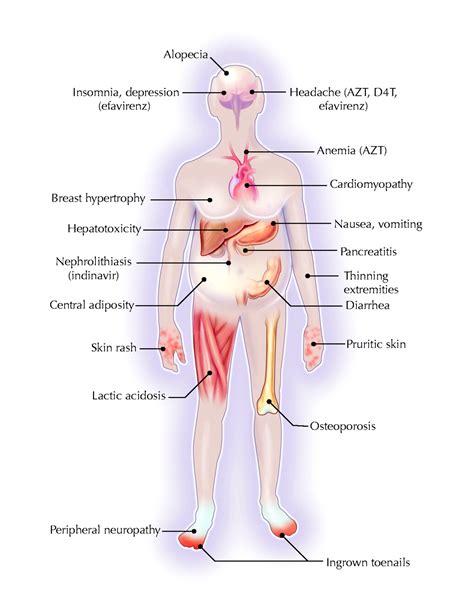 Effects Of Drugs On The Body