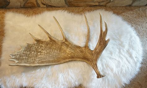 Moose Faux Antler | Cast Horn Designs