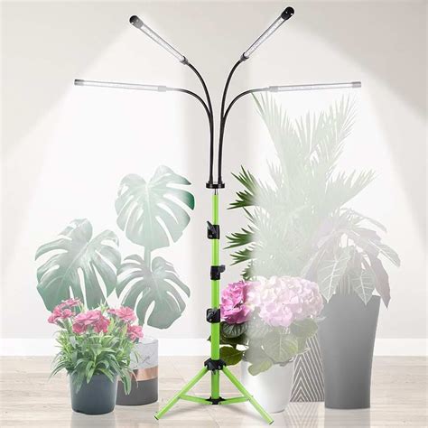 Amazon.com: sunlight lamp for plants