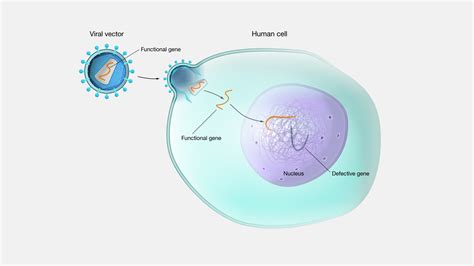 Treating With Gene Therapy