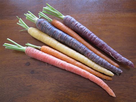 Carrots – A Colourful History From Purple to Orange | Green Prophet