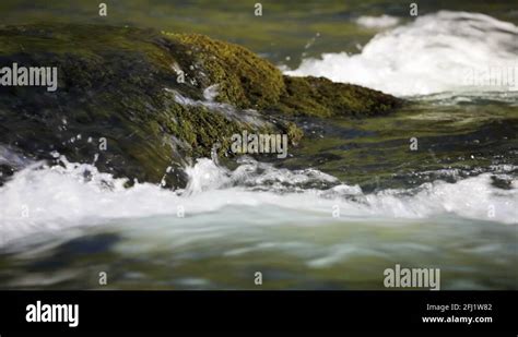 Umpqua river Stock Videos & Footage - HD and 4K Video Clips - Alamy