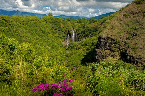 Opaekaa Falls, Kauai, Hawaii. Opaekaa Falls on Kauai is one of t - Hanalei Bay Resort