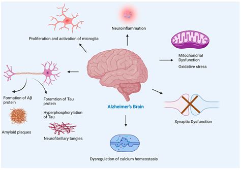 IJMS | Free Full-Text | Amyloid Beta in Aging and Alzheimer’s Disease