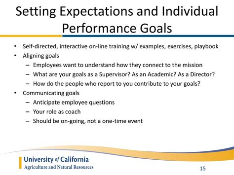 What Is A Performance Goal Example