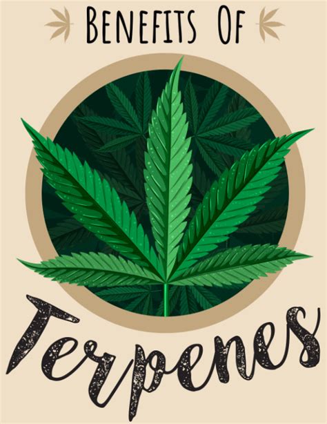 Benefits of Terpenes - Infograph