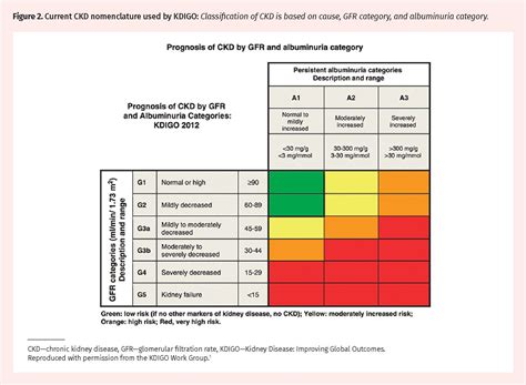 Kidney Disease Monitoring Guidelines at Terri Nichols blog