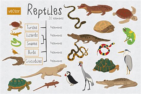 Reptiles