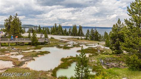 West Thumb Geyser Basin 4 | ProArtInc