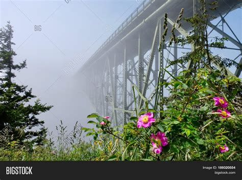 Deception Pass Bridge Image & Photo (Free Trial) | Bigstock