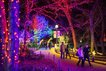 Lincoln Park Zoo Lights - ChicagoFun.com