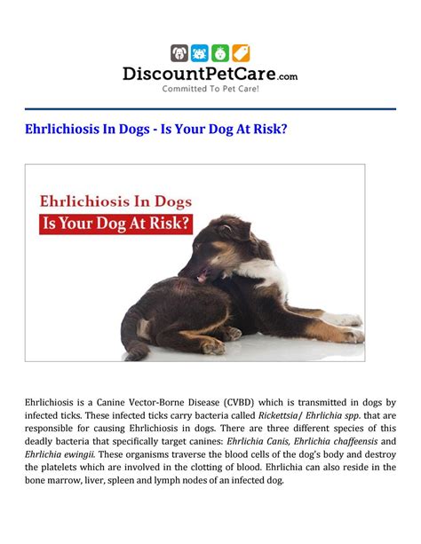 Ehrlichiosis In Dogs – Is Your Dog At Risk? by DiscountPetCare - Issuu