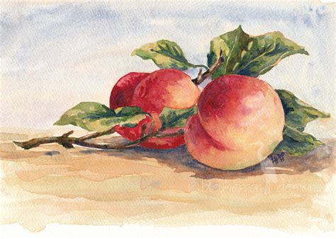 fruit painting Two Peaches watercolor art print