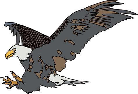 100+ Free Eagle Wings & Eagle Vectors - Pixabay