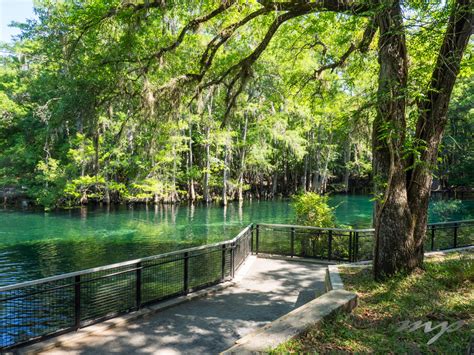 Manatee Springs State Park, Florida – Meandering Passage