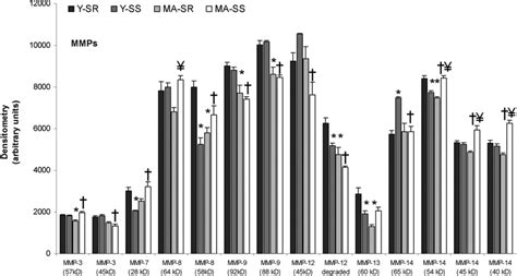 MMP Immunoblotting Results. Data are presented as Avg±SEM arbitrary... | Download Scientific Diagram