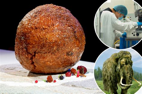 Scientists create woolly mammoth meatball — but are too scared to eat it