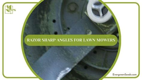 Proper Angle To Sharpen Lawn Mower Blades: Mower Care 101 - Evergreen Seeds