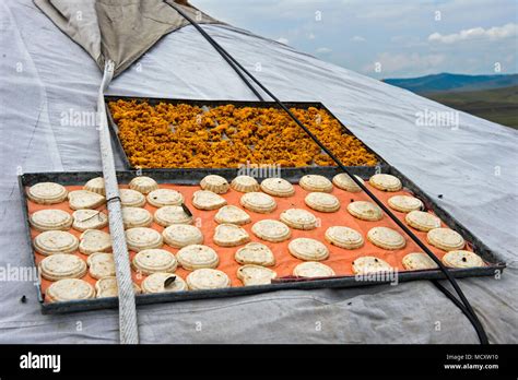 Traditional Aaruul or Mongolian quark cheese, white, and roasted cheese Eezgii are dried on the ...