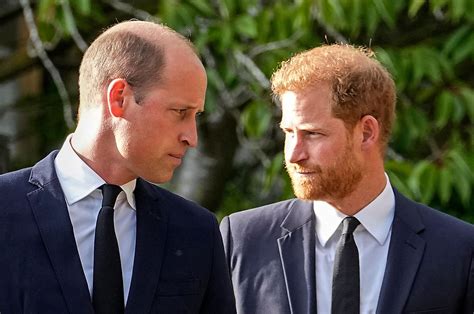 Prince William, Prince Harry’s Relationship Remains ‘Dicey’ | Us Weekly