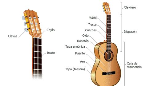 Partes de la guitarra - Guitarras EU