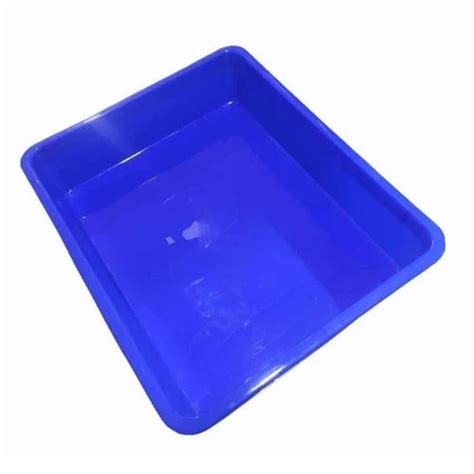 Rectangular Blue Plastic Tray at Rs 50/piece | Plastic Trays in ...