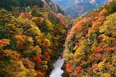 10+ Best Places to See Autumn Scenery in Japan - Japan Inside