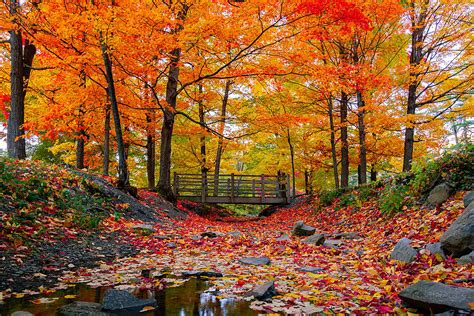 2023 Fall Foliage Map to See Breathtaking Colors in New York