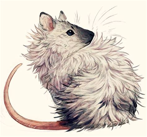 Cute Animal Drawings, Cute Drawings, Animal Sketches, Fantasy Creatures, Mythical Creatures ...