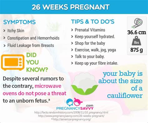 32 best Pregnancy Weeks images on Pinterest | Infographic, Infographics and Pregnancy weeks