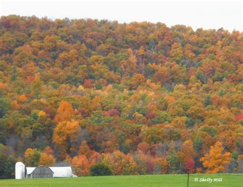 Pennsylvania & Beyond Travel Blog: Fall Foliage in Pennsylvania #FallInPA