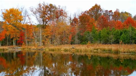 The 12 Best Places To See The Fall Foliage in The Poconos - Robe trotting