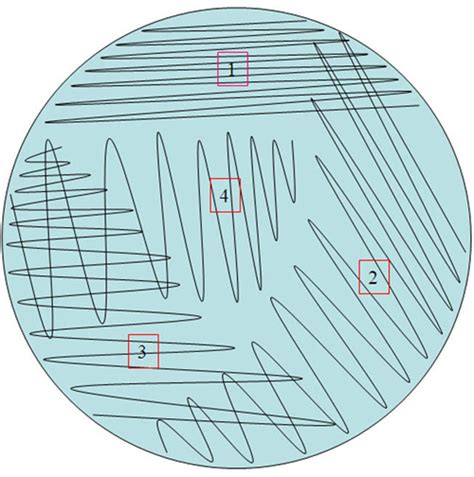 Streak Plate Examples