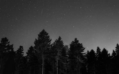 Download Starry Night In Grayscale Wallpaper | Wallpapers.com | Dark ...