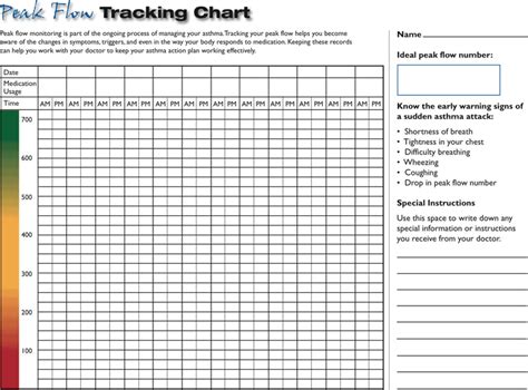 Peak Flow Tracking Chart - Free Download