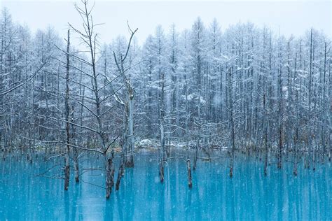 Winter Magic of Biei Blue Pond in Japan 2024-2025 - Rove.me