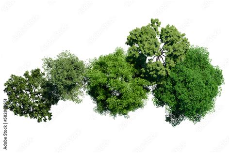 green tree top view on white png landscape plan urban Stock Illustration | Adobe Stock