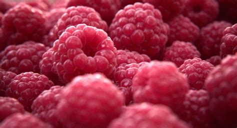 Raspberry 3D Model $15 - .max - Free3D