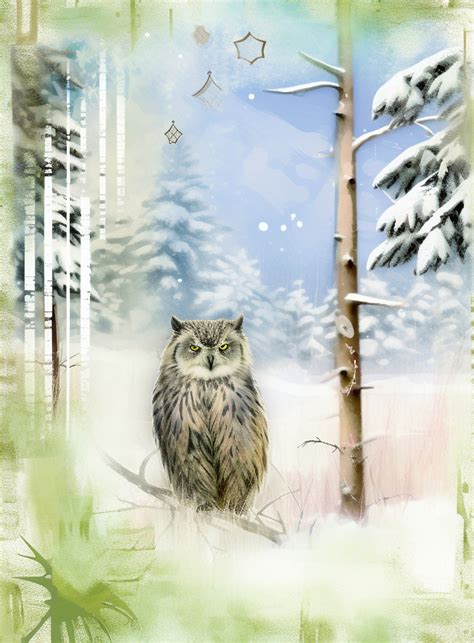 Winter Owl In Forest Art Free Stock Photo - Public Domain Pictures